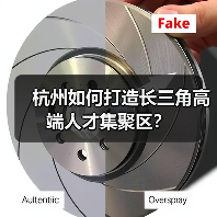 杭州如何打造长三角高端人才集聚区？（图4）