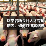 辽宁启动会计人才专项培养,如何打造高端梯队?(图1) 辽宁启动会计人才专项培养,如何打造高端梯队?(图1)