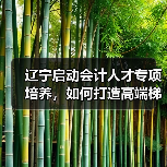 辽宁启动会计人才专项培养,如何打造高端梯队?(图2) 辽宁启动会计人才专项培养,如何打造高端梯队?(图2)