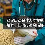 辽宁启动会计人才专项培养,如何打造高端梯队?(图3) 辽宁启动会计人才专项培养,如何打造高端梯队?(图3)