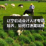 辽宁启动会计人才专项培养,如何打造高端梯队?(图4) 辽宁启动会计人才专项培养,如何打造高端梯队?(图4)