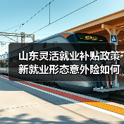 山东灵活就业补贴政策 新就业形态意外险如何保障?(图1) 山东灵活就业补贴政策 新就业形态意外险如何保障?(图1)