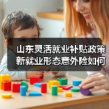 山东灵活就业补贴政策 新就业形态意外险如何保障?(图4) 山东灵活就业补贴政策 新就业形态意外险如何保障?(图4)