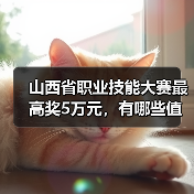山西省职业技能大赛最高奖5万元,有哪些值得关注的亮点?(图4) 山西省职业技能大赛最高奖5万元,有哪些值得关注的亮点?(图4)