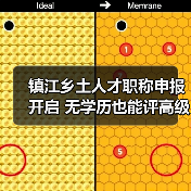 镇江乡土人才职称申报开启 无学历也能评高级?(图2) 镇江乡土人才职称申报开启 无学历也能评高级?(图2)