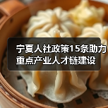 宁夏人社政策15条助力重点产业人才链建设（图1）