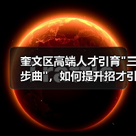 奎文区高端人才引育 奎文区高端人才引育