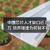 中国芯片人才缺口近30万 培养提速为何刻不容缓（图1）