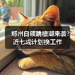 郑州白领跳槽潮来袭？近七成计划换工作（图3）