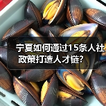 宁夏如何通过15条人社政策打造人才链?(图1) 宁夏如何通过15条人社政策打造人才链?(图1)