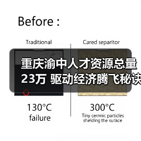重庆渝中人才资源总量23万 驱动经济腾飞秘诀（图2）
