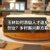玉林如何激励人才返乡创业？乡村振兴新方案发布（图2）