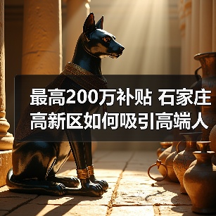 最高200万补贴 石家庄高新区如何吸引高端人才?(图4) 最高200万补贴 石家庄高新区如何吸引高端人才?(图4)