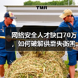 网络安全人才缺口70万,如何破解供需失衡困局?(图2) 网络安全人才缺口70万,如何破解供需失衡困局?(图2)