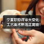 宁夏职称评审大变化：工艺美术新增正高级！（图1）