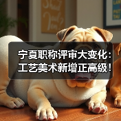 宁夏职称评审大变化：工艺美术新增正高级！（图2）