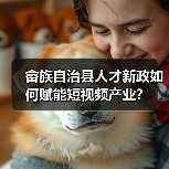 畲族自治县人才新政如何赋能短视频产业？（图2）