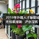 2019年外籍人才最爱城市榜单揭晓：沪京深杭领衔（图4）