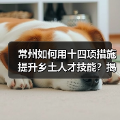 常州如何用十四项措施提升乡土人才技能?揭秘乡村振兴新引擎(图2) 常州如何用十四项措施提升乡土人才技能?揭秘乡村振兴新引擎(图2)