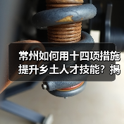 常州如何用十四项措施提升乡土人才技能?揭秘乡村振兴新引擎(图4) 常州如何用十四项措施提升乡土人才技能?揭秘乡村振兴新引擎(图4)