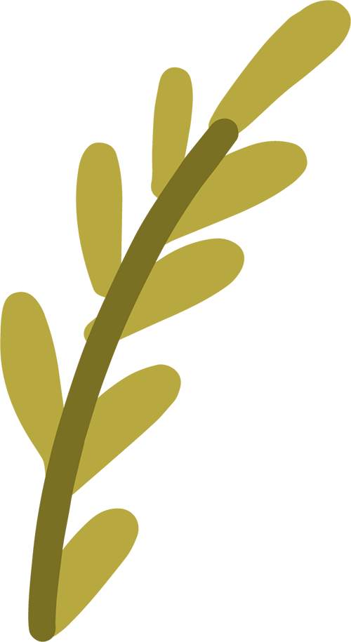 去上海工作，如何防止“精致穷”？